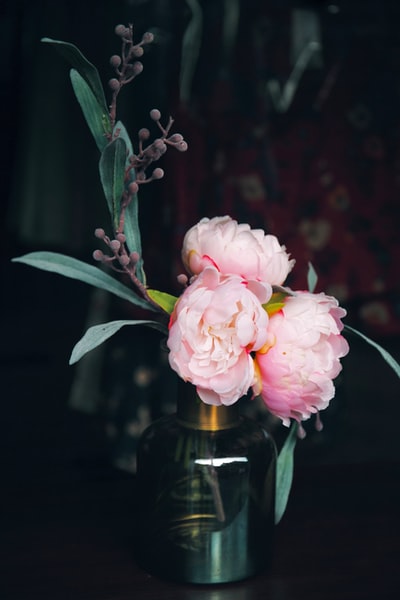 花瓶里有粉红色花瓣的花